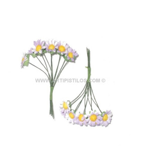 10 MARGARITES BUNDLE