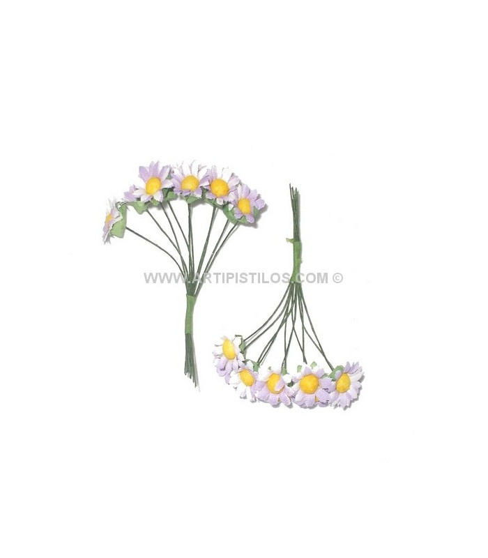 10 MARGARITES BUNDLE