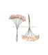 10 MARGARITES BUNDLE
