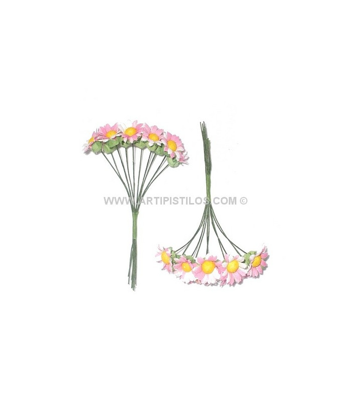 10 MARGARITES BUNDLE