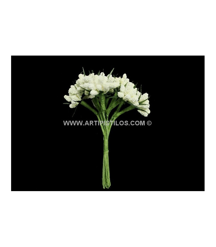 12 FLOWERS BUNDLE
