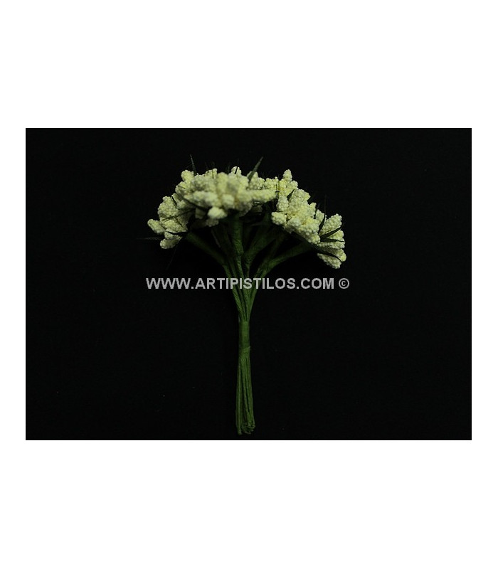 12 FLOWERS BUNDLE