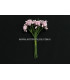12 FLOWERS BUNDLE