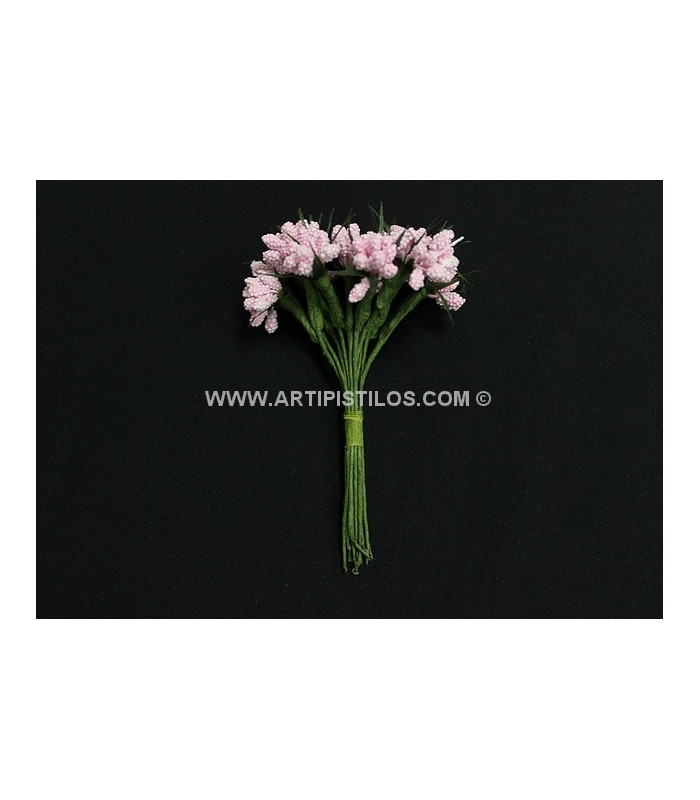 12 FLOWERS BUNDLE