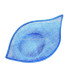 BASE DE SINAMAY VESSEL