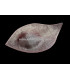 BASE DE SINAMAY VESSEL