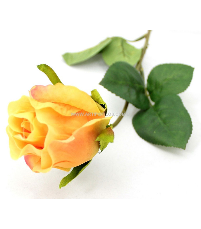 BOTÃO DE ROSA