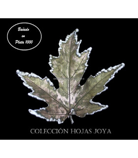 NATURAL MAPLE LEAVES PLATED IN SILVER 1000
