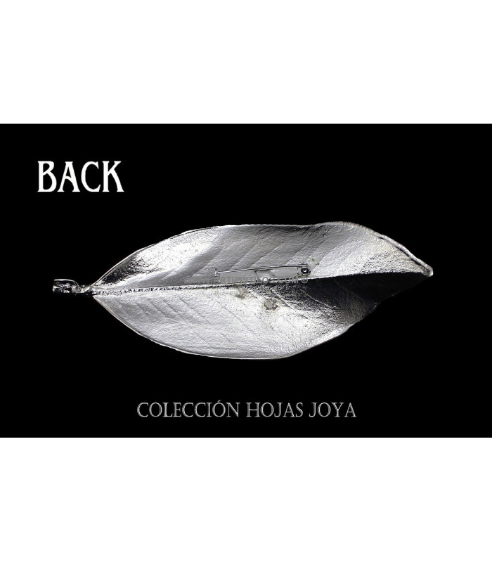 HOJAS NATURALES DE MAGNOLIO CHAPADO EN PRATA 1000