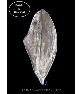 HOJA NATURAL DE MAGNOLIO CHAPADO EN PRATA 1000 15 X 6,5 CMS.