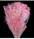 FLOR PRESERVADA PARA DECORACION DE TOCADOS Y CORONITAS