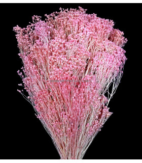 Flor Preservada Para Decoracion De Tocados Y Coronitas Rosa Fluor 40 X 25 Cms. - adornos florales
