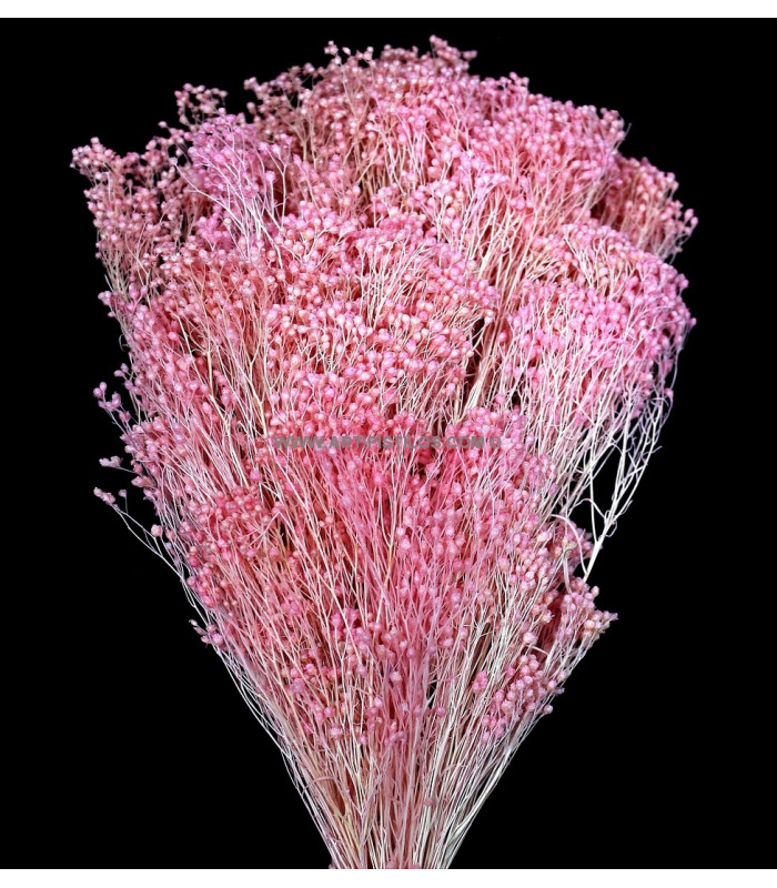 FLOR PRESERVADA PARA DECORACION DE TOCADOS Y CORONITAS