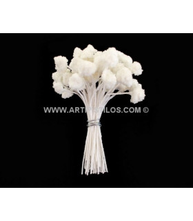 Pistilo Margarita Blanco Diametro Cabeza: 1 Cm. Aprox. Altura: 8 Cms. - de colores