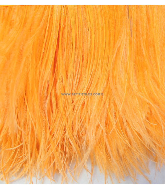 OSTRICH FEATHERS FRINGE - 2 PLY. FIRST QUALITY - 10 CMS.
