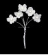 PORCELAIN FLOWER WITH 4 PETALS