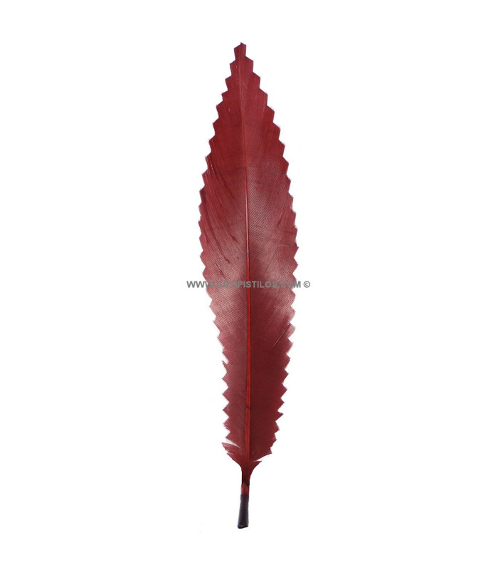 DUCK FEATHER 15 CMS.