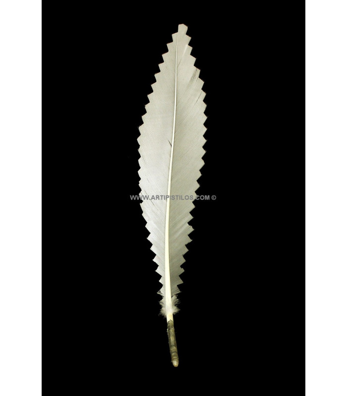 DUCK FEATHER 15 CMS.