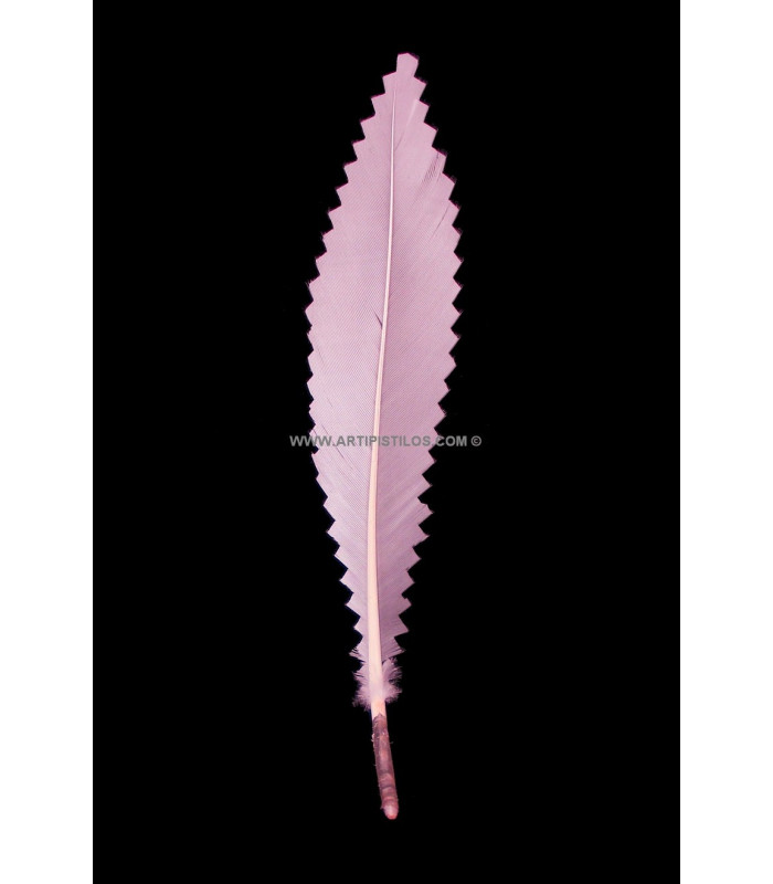 DUCK FEATHER 15 CMS.