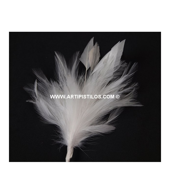 MONTAJE PLUMAS GANSO/ANTENA GALLO