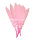 PACKET OF 15 DUCK FEATHERS