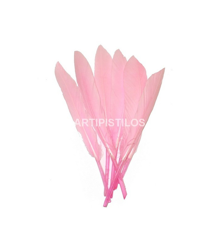 BOLSA DE 15 PLUMAS DE ÁNADE