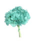 HORTENSIA PRESERVADA