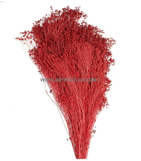 Flor Preservada Para Decoracion De Tocados Y Coronitas Rojo 40 X 25 Cms. - adornos florales