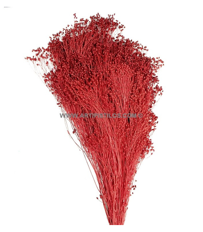 PRESERVED FLOWER