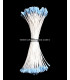 OAR STAMEN 2 SIDES