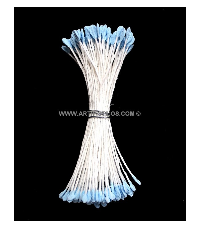 OAR STAMEN 2 SIDES