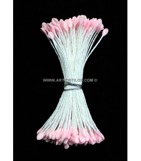 Pistilo Remo 2 Flancos De Rosa 8 Cms. De Largo. Cabez. Plana 4 Mm. Aprox.