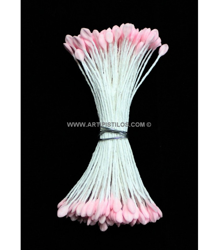 OAR STAMEN 2 SIDES