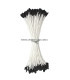 OAR STAMEN 2 SIDES