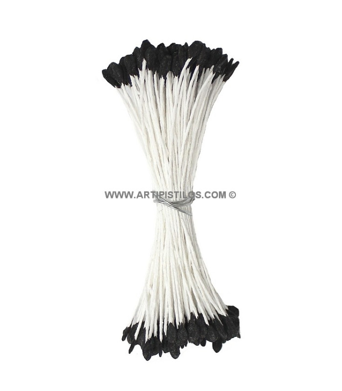 OAR STAMEN 2 SIDES