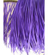GOOSE BIOT FEATHER FIRST QUALITY -  10 CMS.