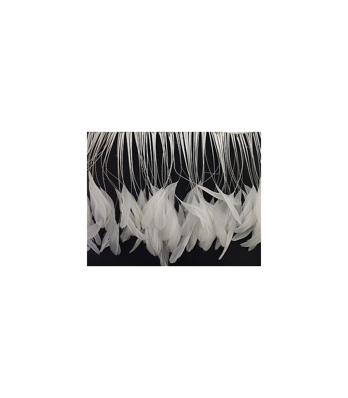 STRIPPED ROOSTER FEATHERS FIRST QUALITY  - 10 CMS.