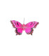 FEATHER BUTTERFLY