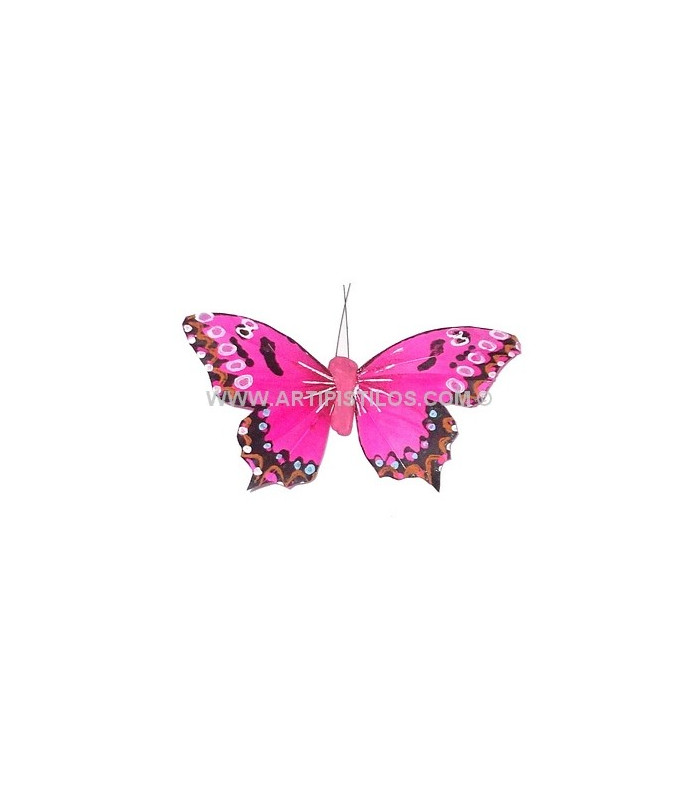 FEATHER BUTTERFLY