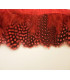 GUINEA FOWL FEATHERS 10 CMS.