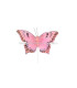 FEATHER BUTTERFLY