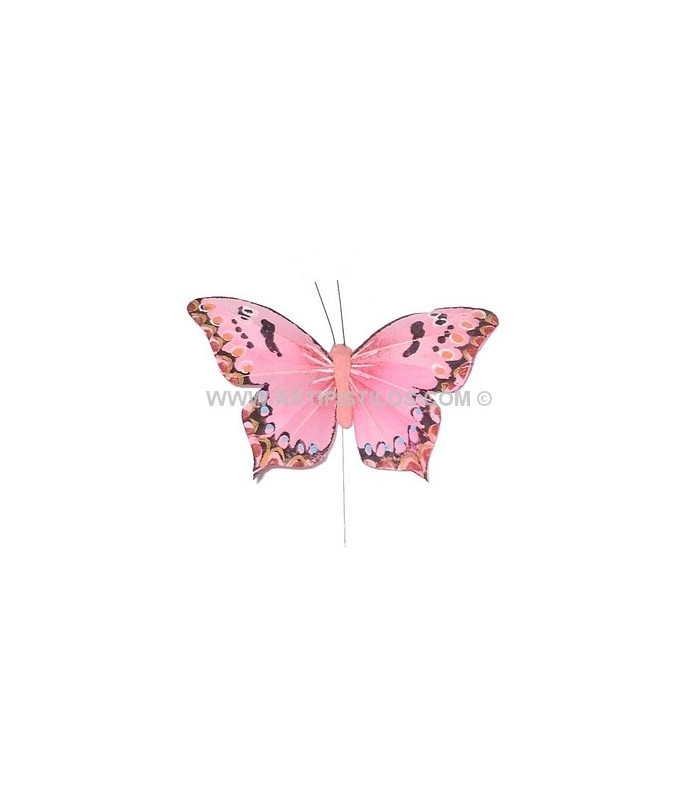 MARIPOSA DE PLUMAS
