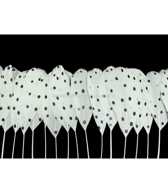 FLECO DE PLUMAS DE PATO CON MOTAS 25 CMS.