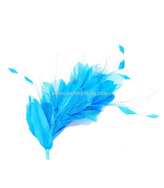 FEATHER MOUNT