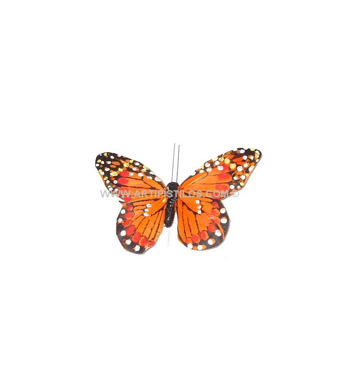MARIPOSA DE PLUMAS