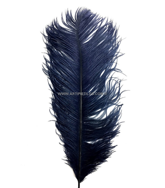 OSTRICH FEATHER FIRST QUALITY 50-55 CMS.