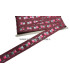 RIBBON WITH METALLIC ORNAMENT
