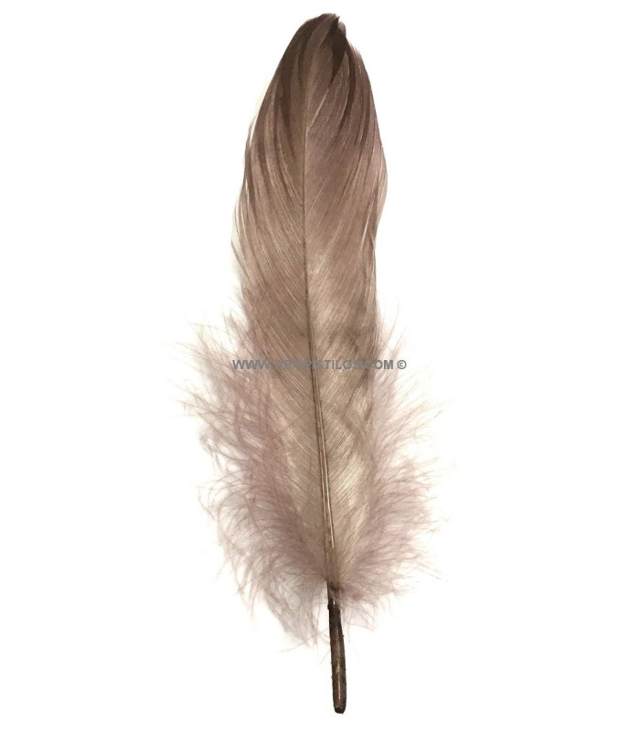 PLUMA DE OCA RASPADA 15 CMS.