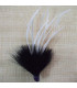 POMO DE PLUMAS DE MARABÚ/OCA