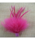 POMO DE PLUMAS DE MARABÚ/OCA